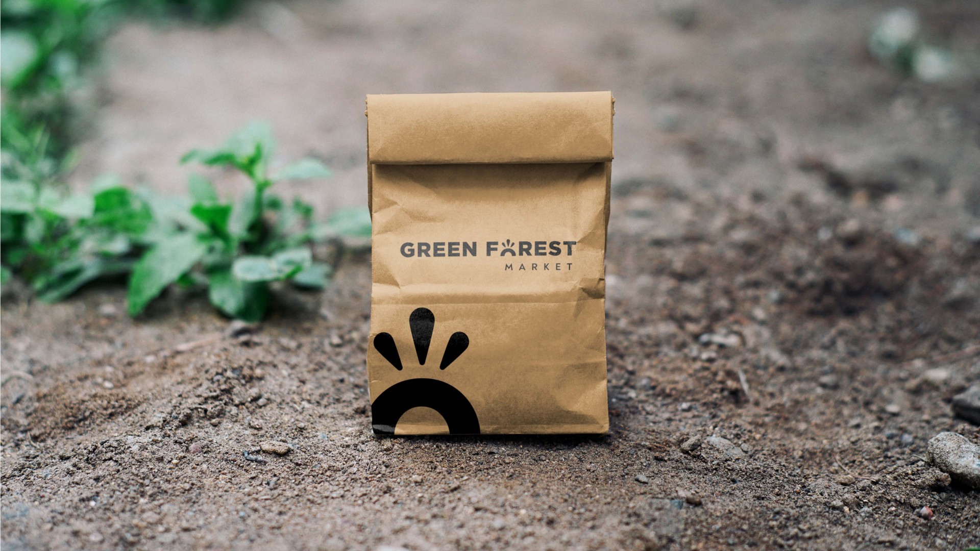 Разработка логотипа для Green Forest (США) - Фото №23